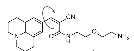 ACE ligands for the Okra bright green fluorescent RNA