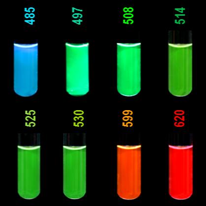 HBC Ligands kit